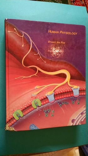 Human physiology - human,