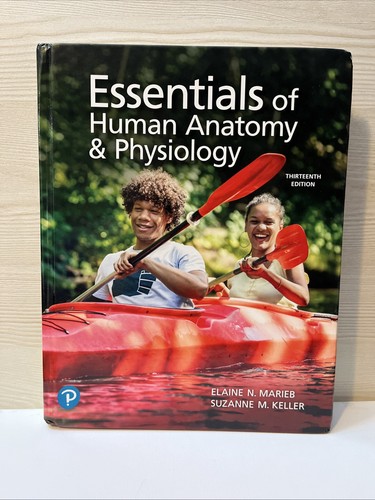 Essentials human anatomy - human, &